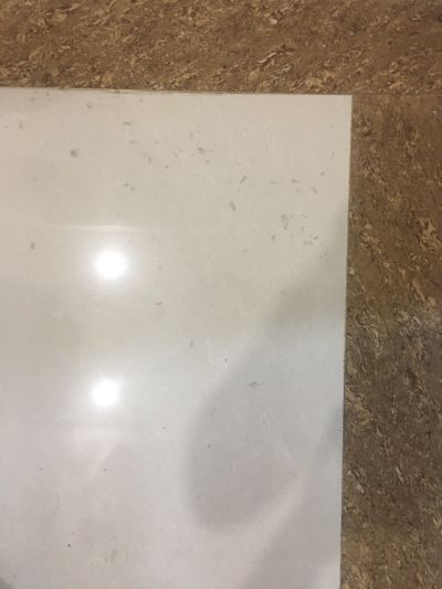 无未编辑专业未编辑专业未编辑专业