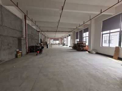 无家具装修未编辑专业
