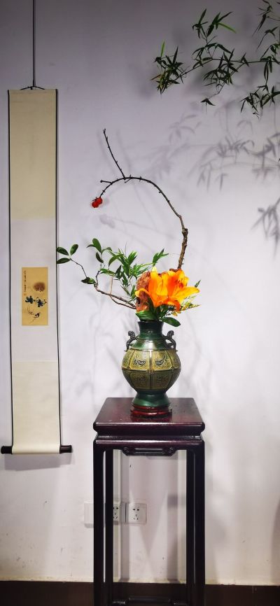 植物花艺软装园林园艺室内绿植规划花店鲜花绿植
