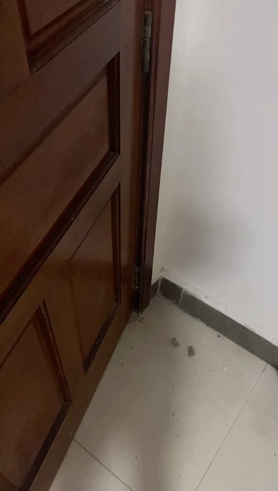 无未编辑专业未编辑专业未编辑专业