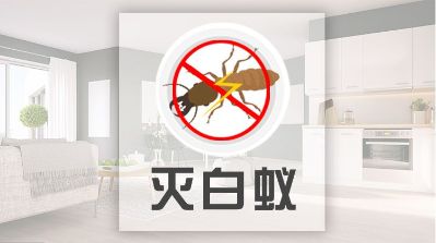 灭蟑螂灭鼠白蚁防治除马蜂窝家电清洗