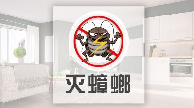 灭蟑螂灭鼠白蚁防治除马蜂窝家电清洗