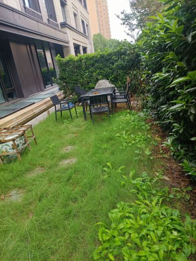 都可以做随叫随到未编辑专业未编辑专业