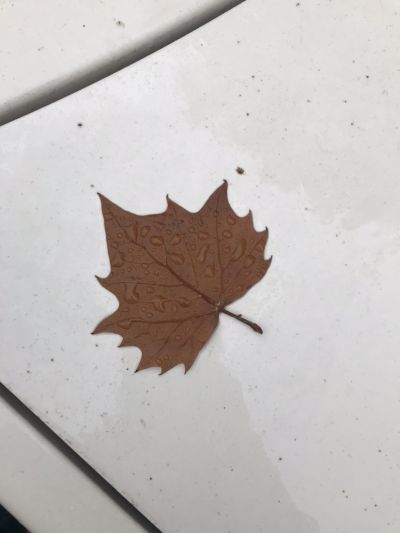 万能工未编辑专业未编辑专业未编辑专业