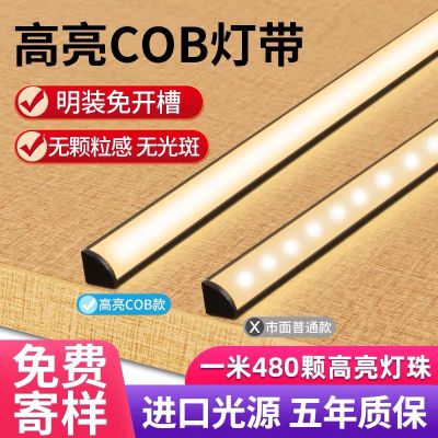 无未编辑专业未编辑专业未编辑专业