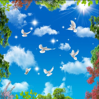 天花安装吊顶卡布灯箱A级防火膜安装软膜