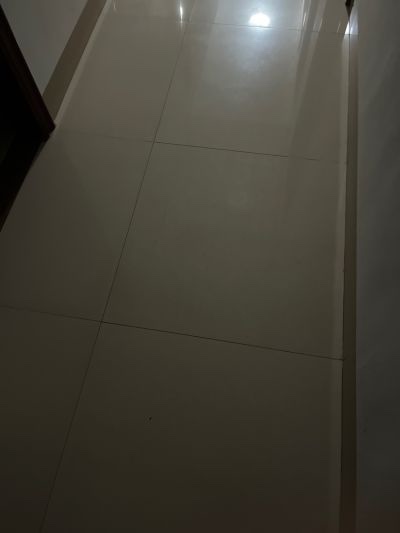 无未编辑专业未编辑专业未编辑专业