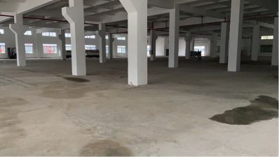 无未编辑专业未编辑专业未编辑专业