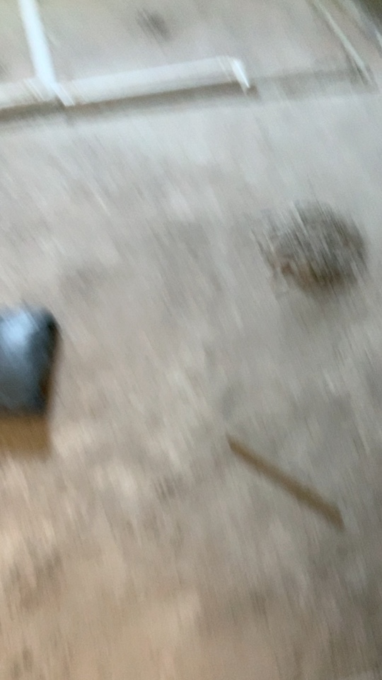 无未编辑专业未编辑专业未编辑专业