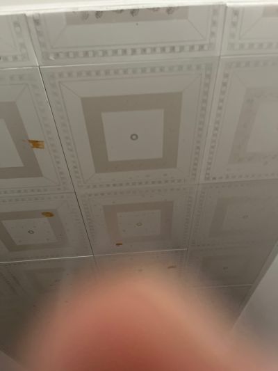无未编辑专业未编辑专业未编辑专业