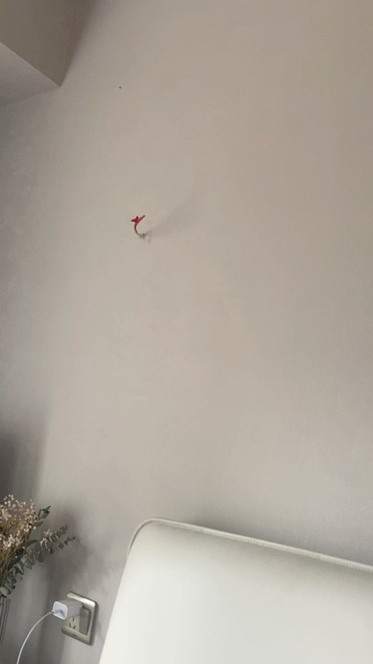 无未编辑专业未编辑专业未编辑专业