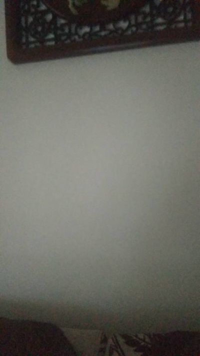 无未编辑专业未编辑专业未编辑专业