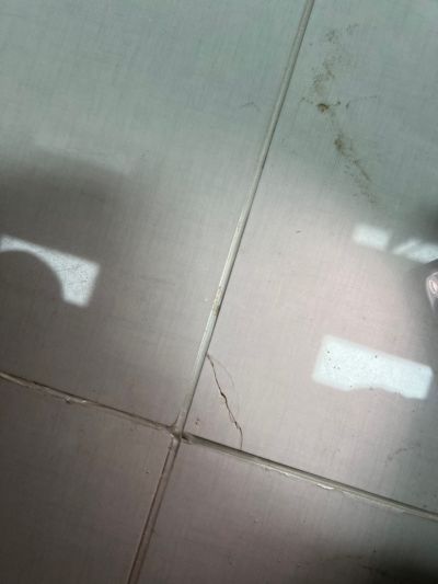 无未编辑专业未编辑专业未编辑专业