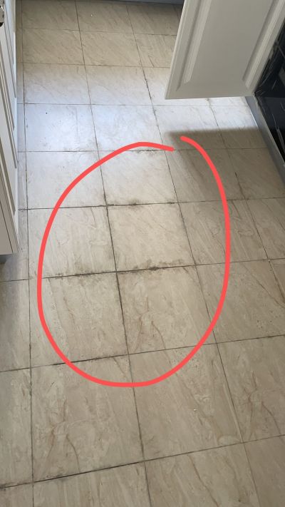 无未编辑专业未编辑专业未编辑专业