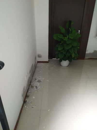 装饰维修无无未编辑专业