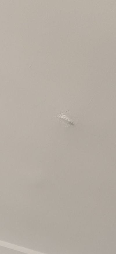 各类保温中央空调风管保温风管保温