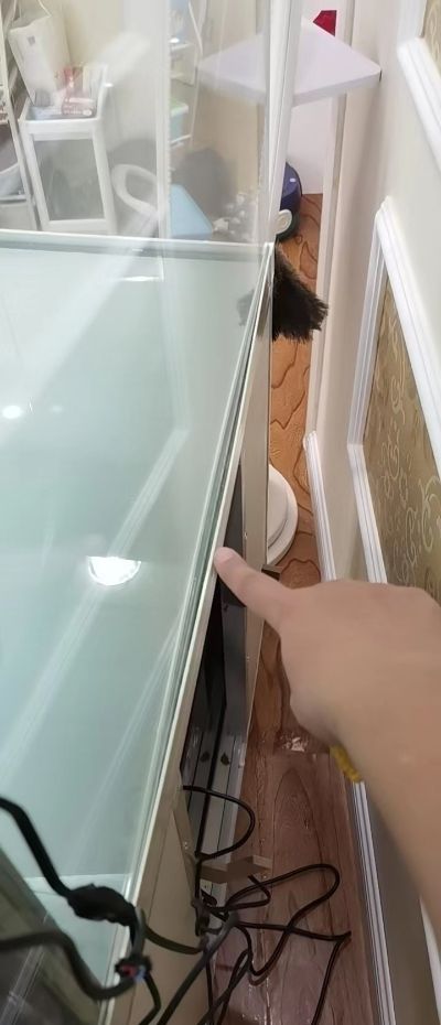 森森水族未编辑专业未编辑专业未编辑专业