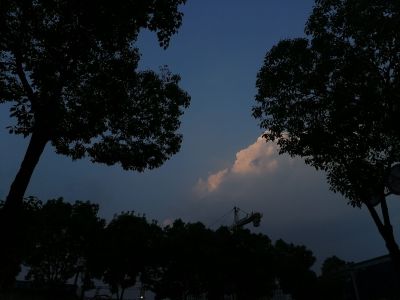 搬家 拆装搬家  拆装公司搬迁装卸工