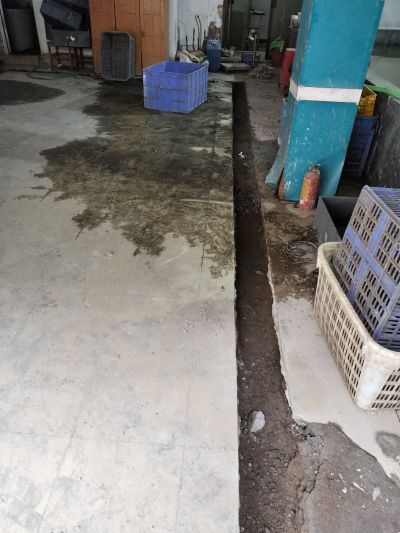 无未编辑专业未编辑专业未编辑专业