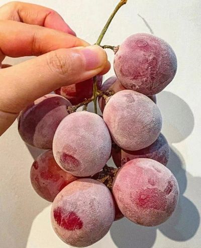 个体户未编辑专业未编辑专业未编辑专业