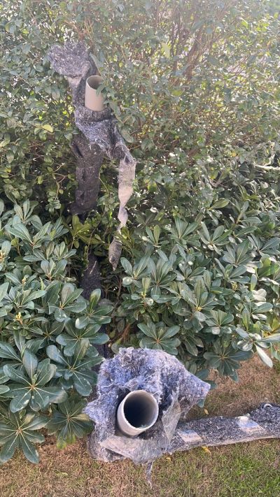 无未编辑专业未编辑专业未编辑专业