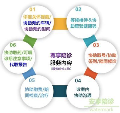 陪诊陪诊未编辑专业未编辑专业