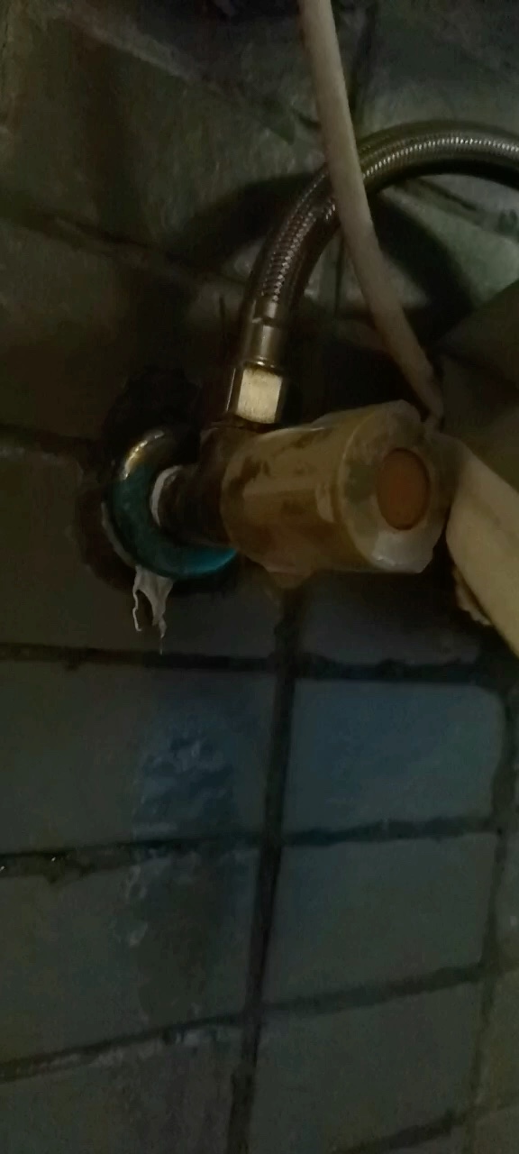 无未编辑专业未编辑专业未编辑专业