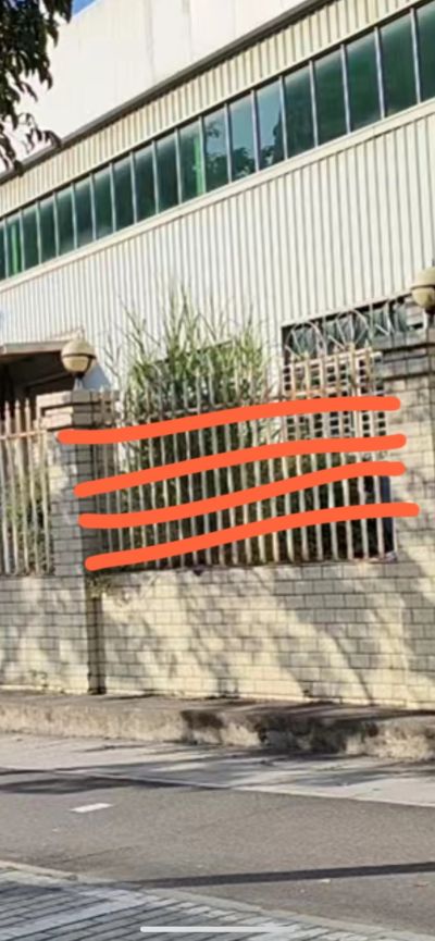 无无无未编辑专业