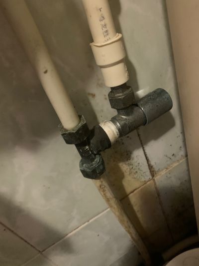 无未编辑专业未编辑专业未编辑专业