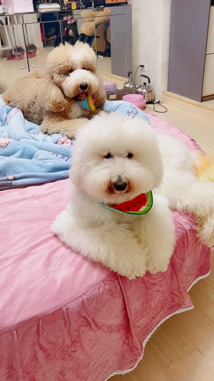 无未编辑专业未编辑专业未编辑专业