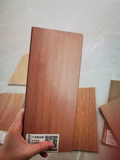 无未编辑专业未编辑专业未编辑专业