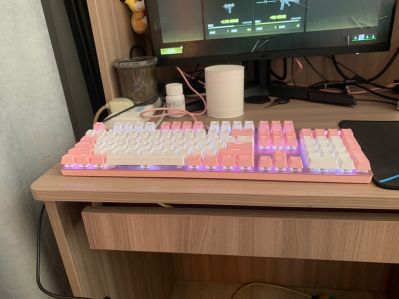 无未编辑专业未编辑专业未编辑专业