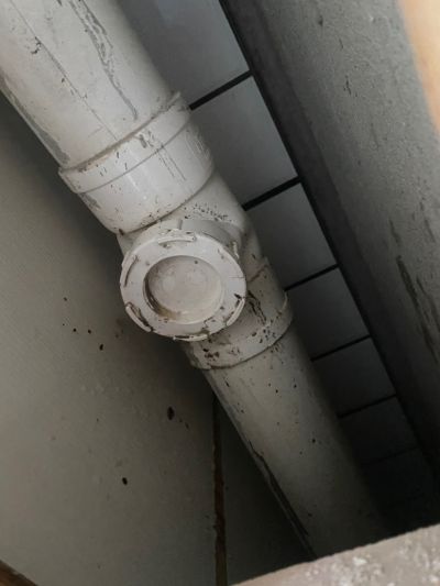 无未编辑专业未编辑专业未编辑专业