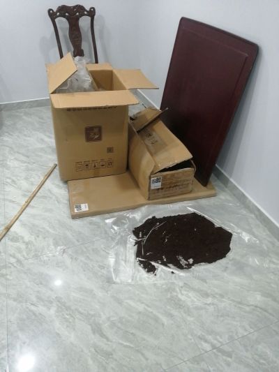 墙纸墙布施工家具广告安装宾馆套房装修未编辑专业