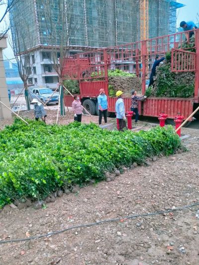 无未编辑专业未编辑专业未编辑专业