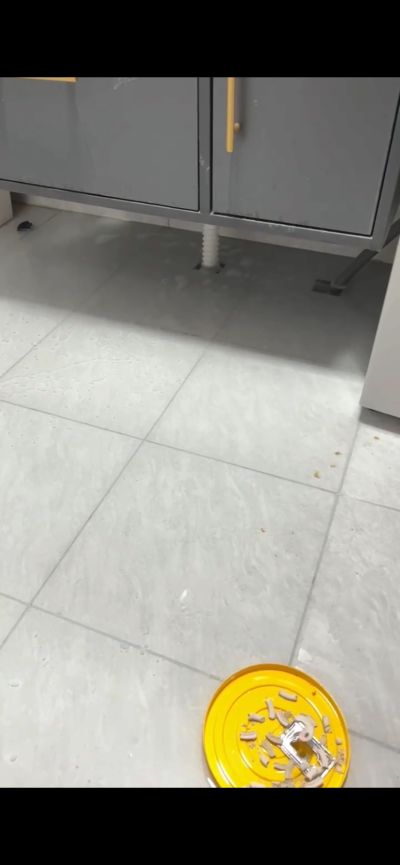安装维修未编辑专业未编辑专业未编辑专业