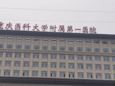 广告制作未编辑专业未编辑专业未编辑专业