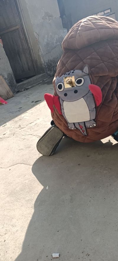 安装未编辑专业未编辑专业未编辑专业