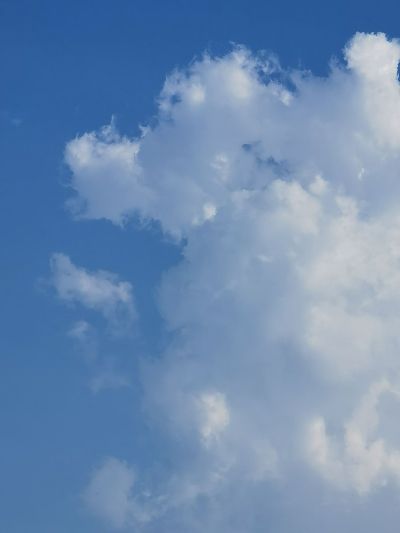 保洁家政保洁未编辑专业未编辑专业