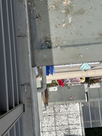 无未编辑专业未编辑专业未编辑专业