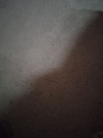 无未编辑专业未编辑专业未编辑专业