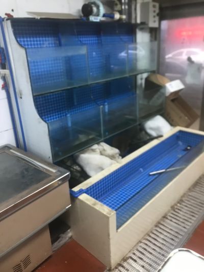 无未编辑专业未编辑专业未编辑专业