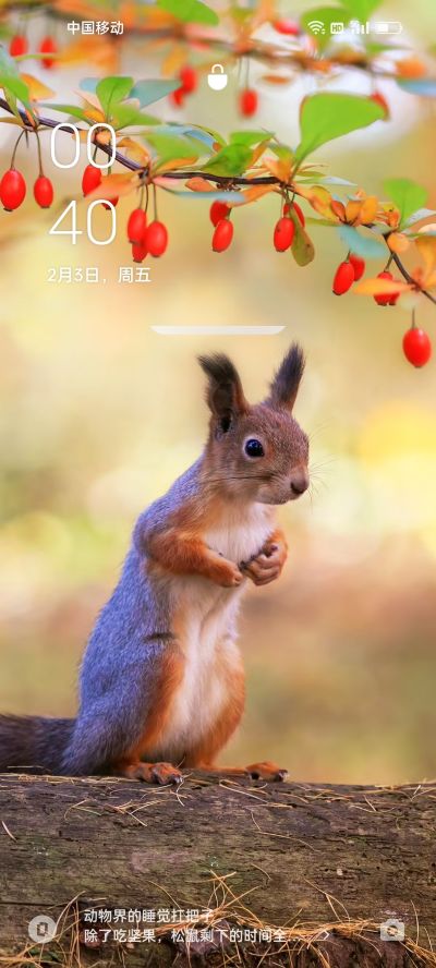 专业拆墙专业拆墙未编辑专业未编辑专业