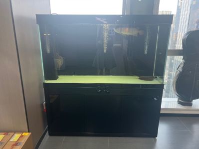 无未编辑专业未编辑专业未编辑专业