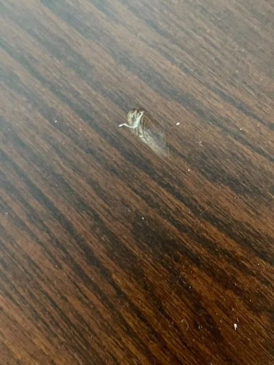 房地产未编辑专业未编辑专业未编辑专业