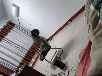 无未编辑专业未编辑专业未编辑专业
