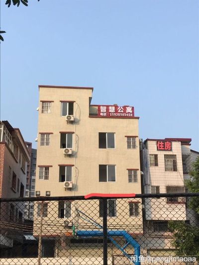 需求房租装修无未编辑专业未编辑专业