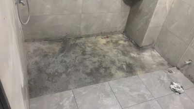 无未编辑专业未编辑专业未编辑专业