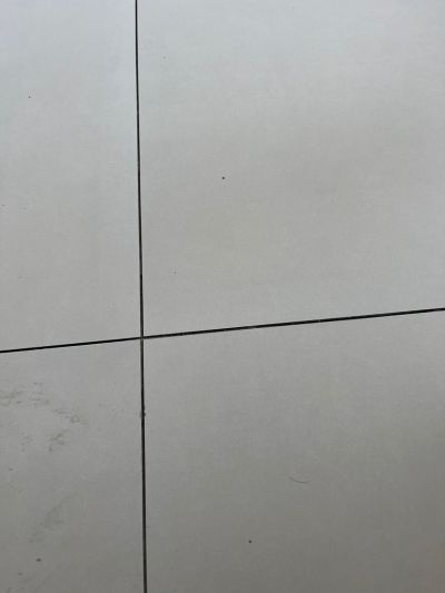 无未编辑专业未编辑专业未编辑专业
