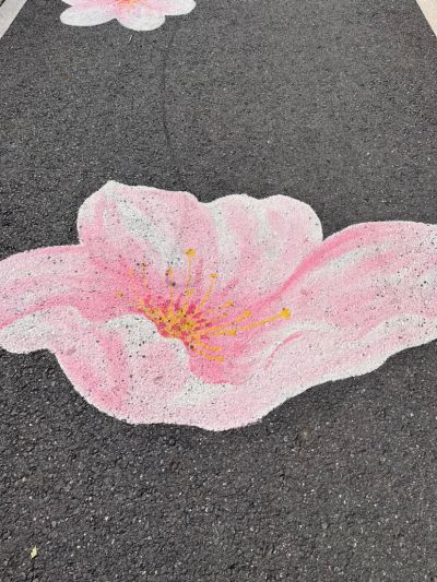 陪诊视频剪辑未编辑专业未编辑专业未编辑专业